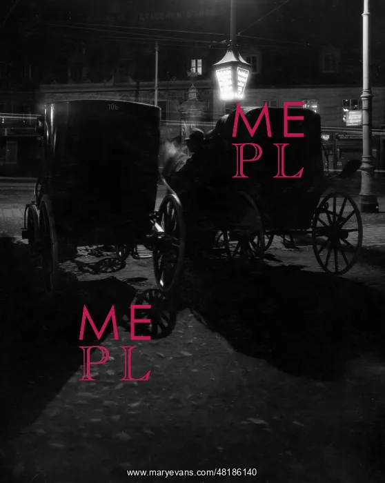 : Viennese carriage, 1929 : Viennese carriage, 1929