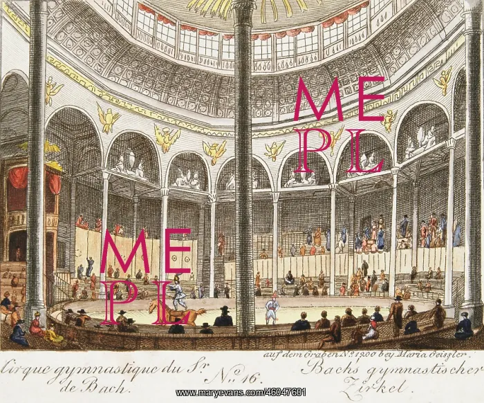 : The Viennese Circus Gymnasticus : The Viennese Circus Gymnasticus