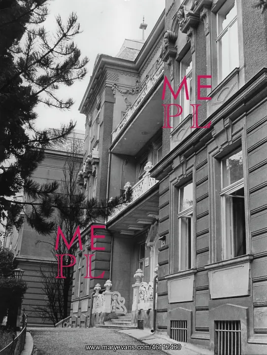 : The Viennese Cottage Sanatorium for : The Viennese Cottage Sanatorium for