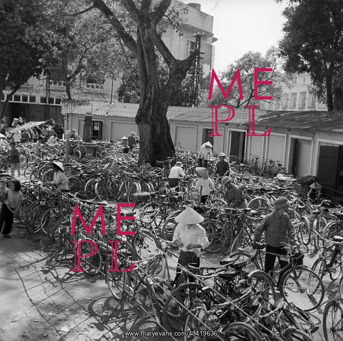: Vietnam, 1973 : Vietnam, 1973