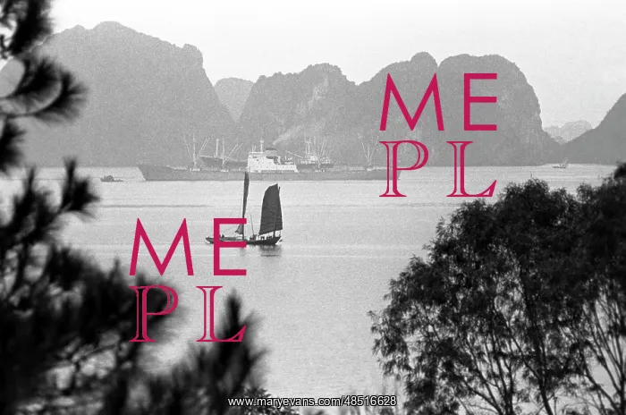 : Vietnam, 1980 : Vietnam, 1980
