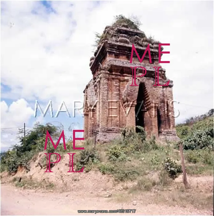 : VIETNAM / BINH DINH / CHAM : VIETNAM / BINH DINH / CHAM