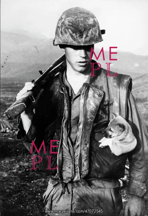 : VIETNAM WAR - 1955 - 1975 : VIETNAM WAR - 1955 - 1975