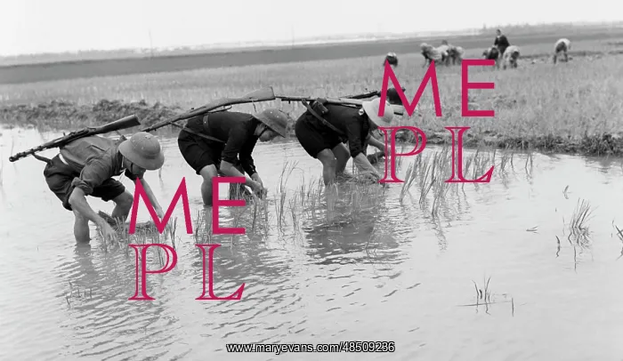 : Vietnam War, 1969 : Vietnam War, 1969
