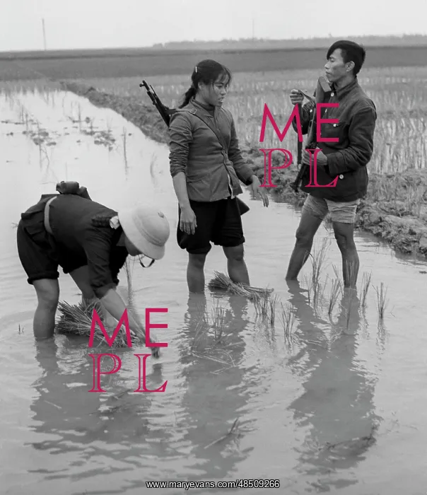 : Vietnam War, 1969 : Vietnam War, 1969