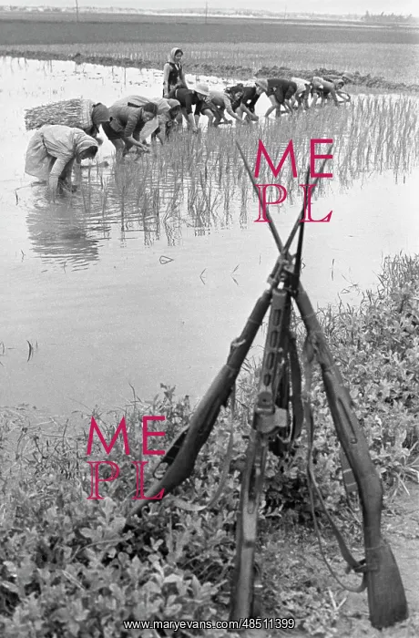 : Vietnam War, 1969 : Vietnam War, 1969
