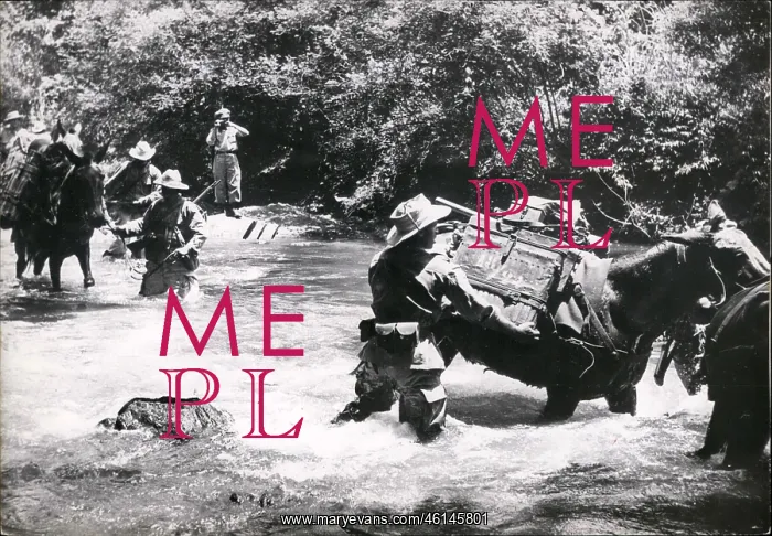 : Vietnam War : Vietnam War