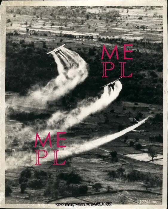  : Vietnam War
