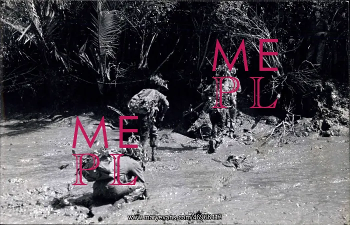 : Vietnam War : Vietnam War