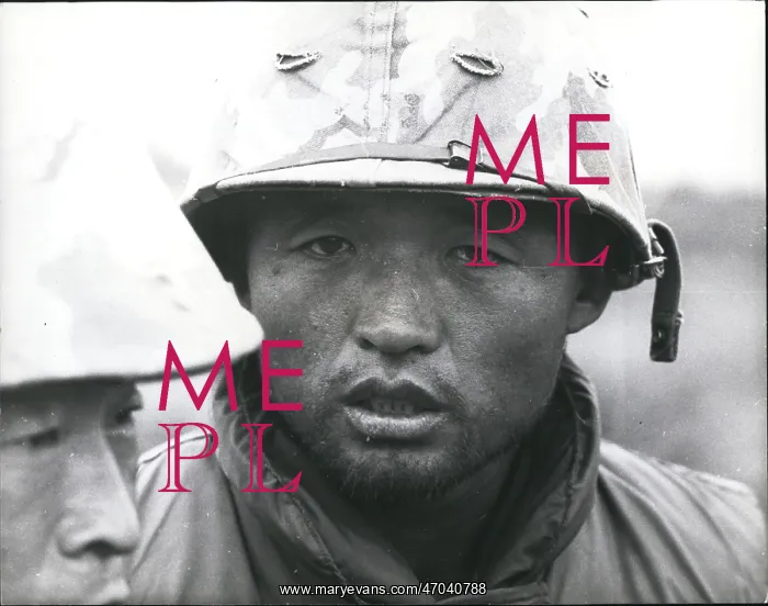 : Vietnam War : Vietnam War