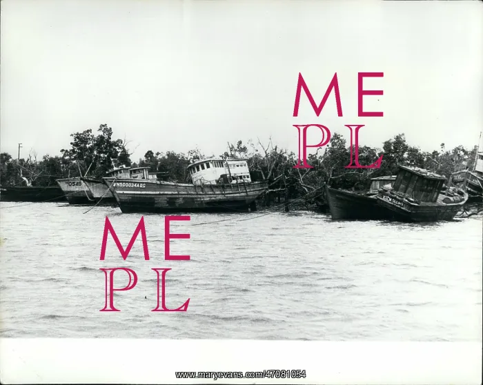 : Vietnam War : Vietnam War