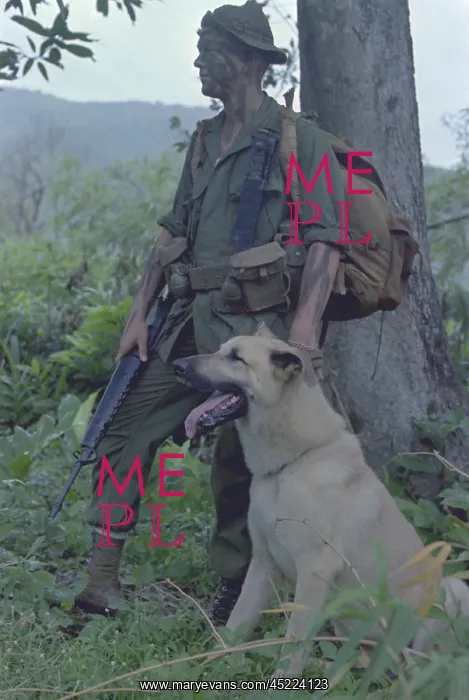: Vietnam War. Camouflaged US Marine and his ? : Vietnam War. Camouflaged US Marine and his ?