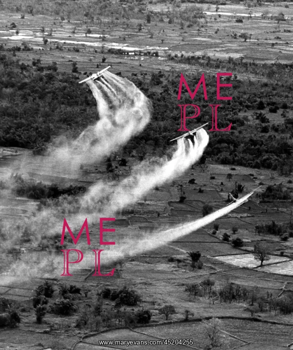 : VIETNAM WAR, Crop duster airplanes spray ? : VIETNAM WAR, Crop duster airplanes spray ?