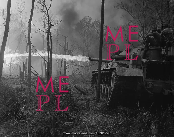 : Vietnam War. US Marine flame tanks burn ?