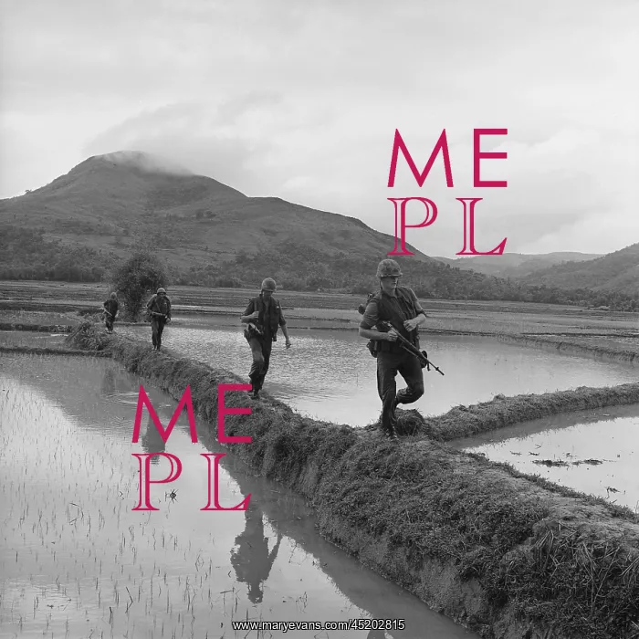 : Vietnam War. US Marines move along rice ? : Vietnam War. US Marines move along rice ?