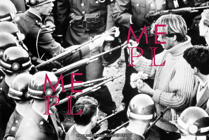 : Vietnam War protester puts flowers into ? : Vietnam War protester puts flowers into ?