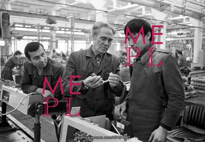 : Vietnam worker at Sofia Lifting and Transportration : Vietnam worker at Sofia Lifting and Transportration