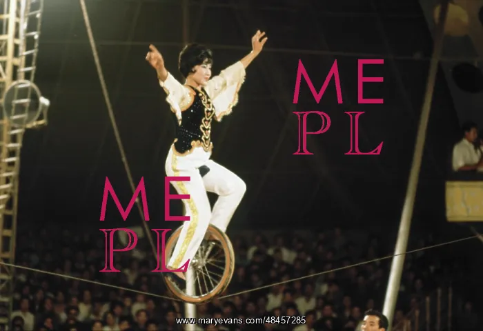 : Vietnamese circus : Vietnamese circus