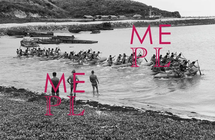 : Vietnamese Junk Force during a phase of underwater : Vietnamese Junk Force during a phase of underwater