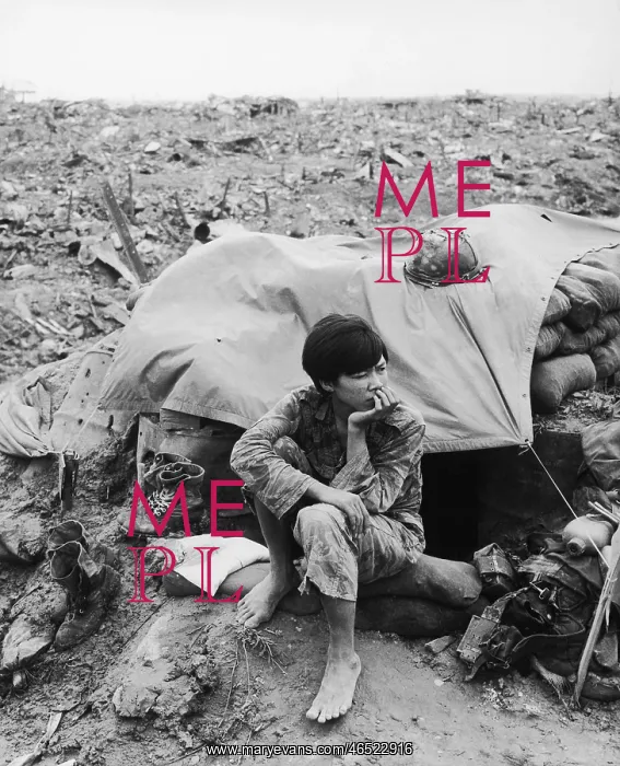 : VIETNAMESE SOLDIER : VIETNAMESE SOLDIER