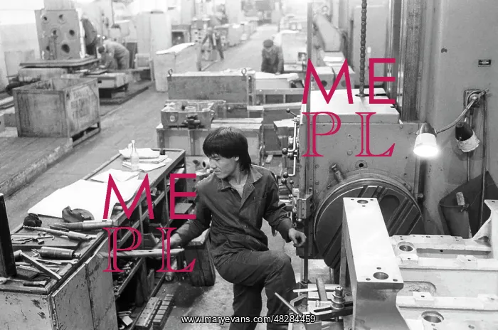 : Vietnamese worker, 1988 : Vietnamese worker, 1988