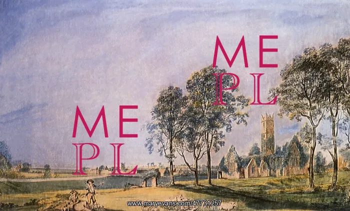 : A View of Adare, Co. Limerick : A View of Adare, Co. Limerick