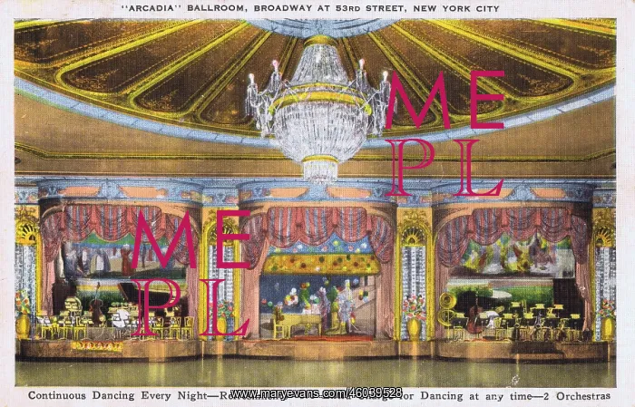  : A view of Arcadia Ballroom, New York