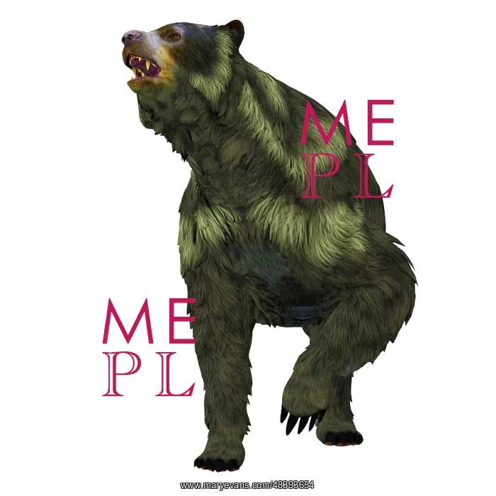 : Front view of an Arctodus short-faced bear : Front view of an Arctodus short-faced bear