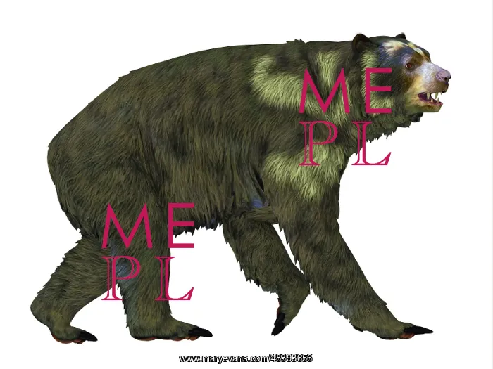 : Side view of an Arctodus short-faced bear : Side view of an Arctodus short-faced bear