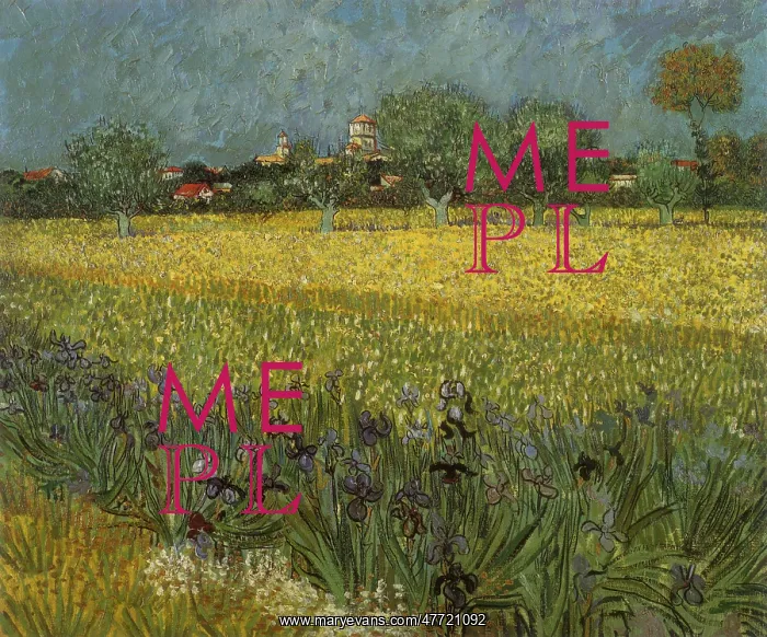 : View of Arles with Irises, by Van Gogh : View of Arles with Irises, by Van Gogh