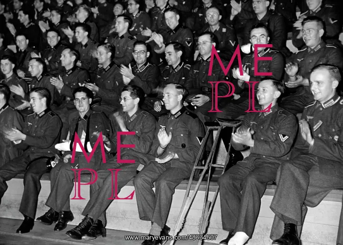 : View of the audience at an entertainment event : View of the audience at an entertainment event