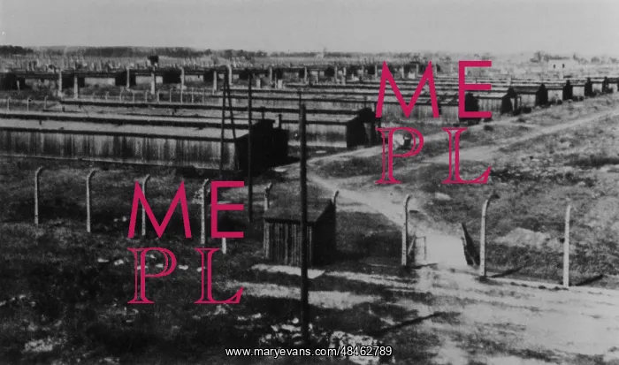 : VIEW OF AUSCHWITZ : VIEW OF AUSCHWITZ