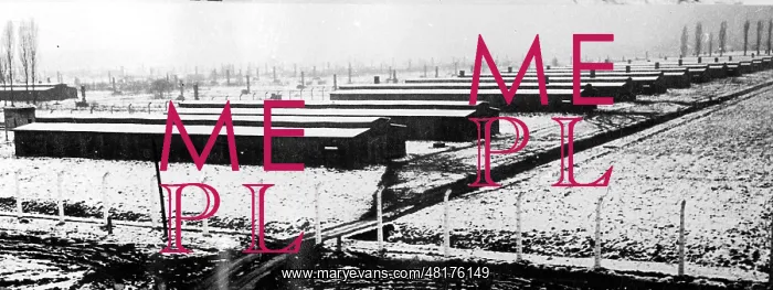 : A view of Auschwitz-Birkenau concentration camp showing the : A view of Auschwitz-Birkenau concentration camp showing the