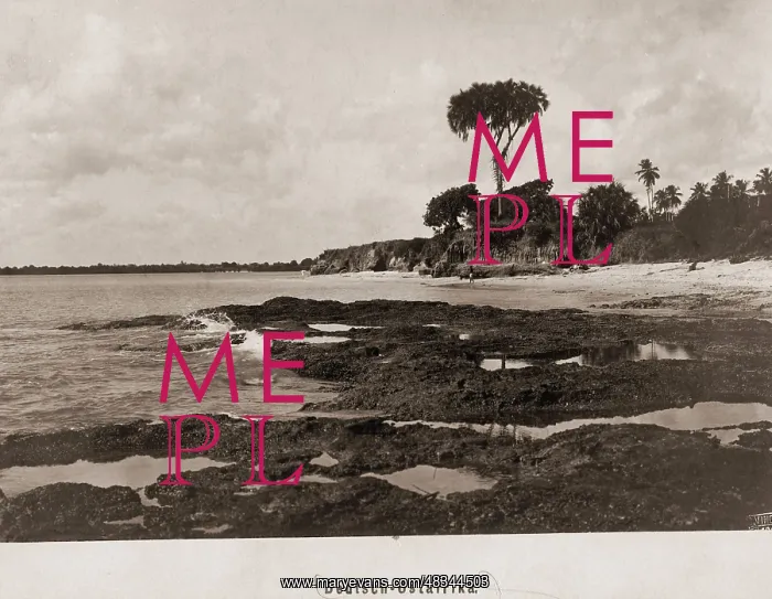 : View of a bay at Dar es Salaam, 1903 : View of a bay at Dar es Salaam, 1903