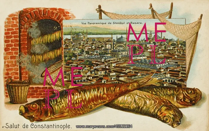 : A view of the Bazar, Constantinople : A view of the Bazar, Constantinople
