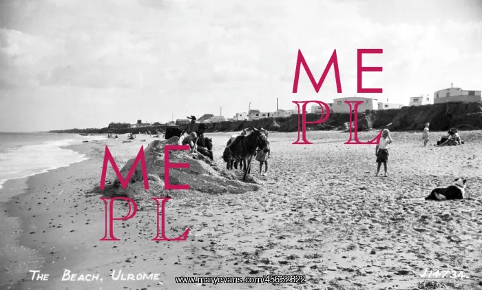 : View of the beach at Ulrome, East Yorkshire : View of the beach at Ulrome, East Yorkshire