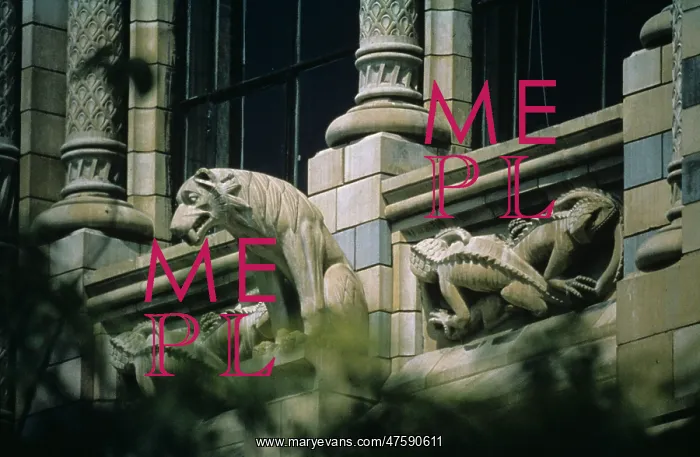 : Detail view of beast, designed by Alfred Waterhouse : Detail view of beast, designed by Alfred Waterhouse