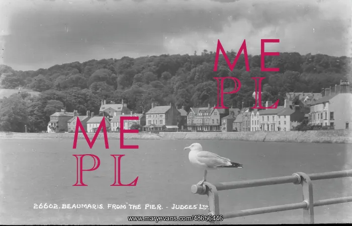 : View of Beaumaris from the Pier : View of Beaumaris from the Pier
