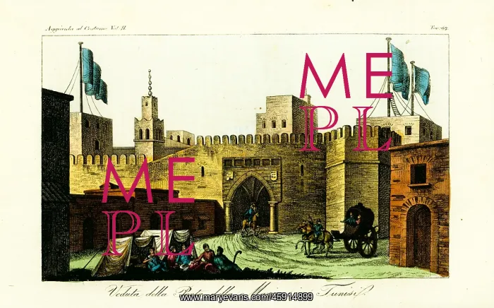 : View of the Beb-kar (Bab Bhar), Gate to the : View of the Beb-kar (Bab Bhar), Gate to the
