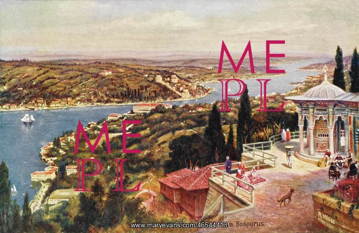: View toward the Black Sea - Constantinople : View toward the Black Sea - Constantinople
