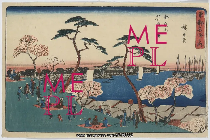 : View of blossoms at Gotenyama : View of blossoms at Gotenyama