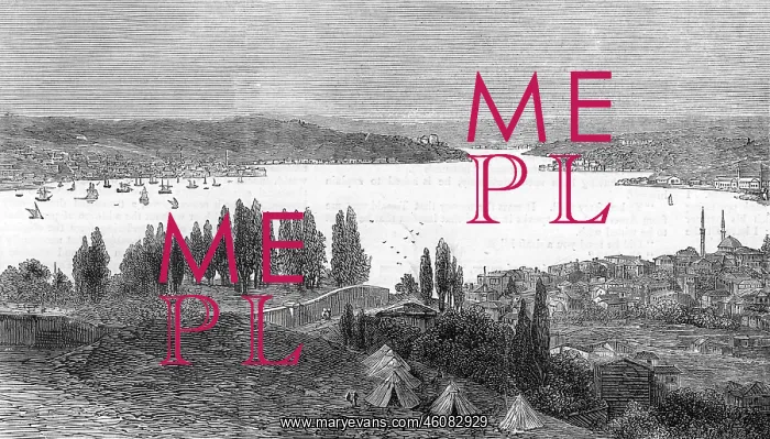  : View of the Bosphorus, Turkey, 1878
