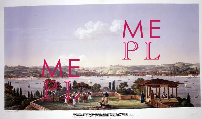  : View of Bosphorus, Turkey