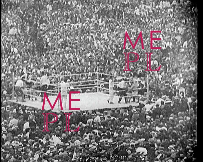 : View of the Boxing Ring at a Crowded Sports : View of the Boxing Ring at a Crowded Sports