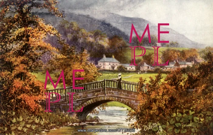  : View of a Bridge. Ashopton