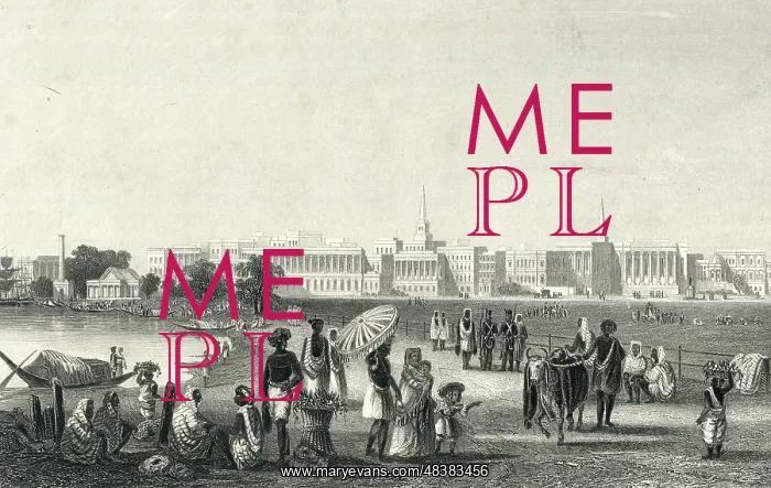  : View of Calcutta from the Esplanade, India