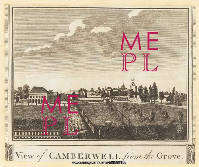 : View of Camberwell from the Grove, 1784 : View of Camberwell from the Grove, 1784