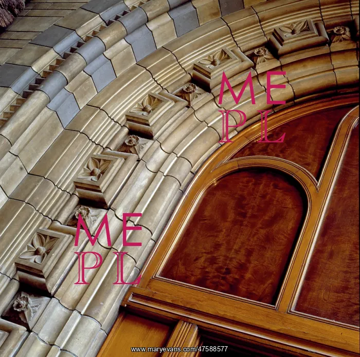 : Detail view of the Central Hall of the Natural History Museu : Detail view of the Central Hall of the Natural History Museu