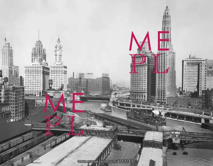 : View of Chicago, 1929 : View of Chicago, 1929