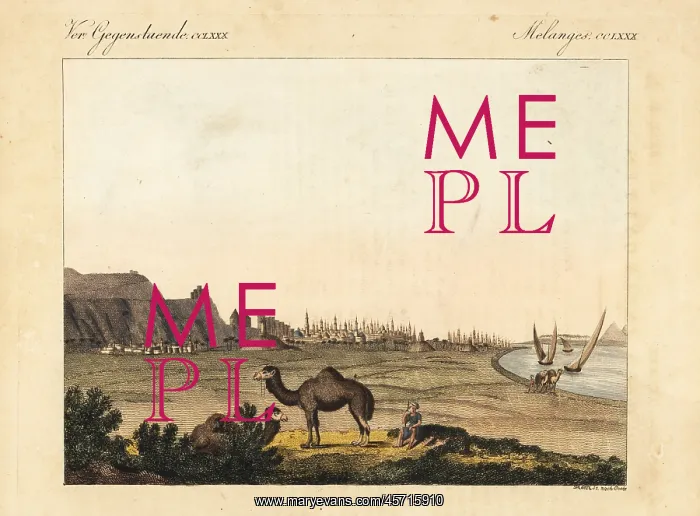 : View of the city of Cairo, Egypt, with its : View of the city of Cairo, Egypt, with its